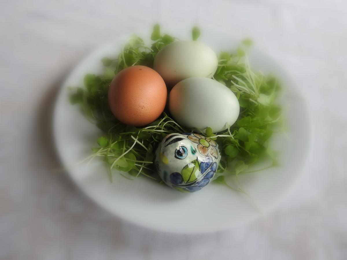 Carrying Place The Empty Nest B & B מראה חיצוני תמונה